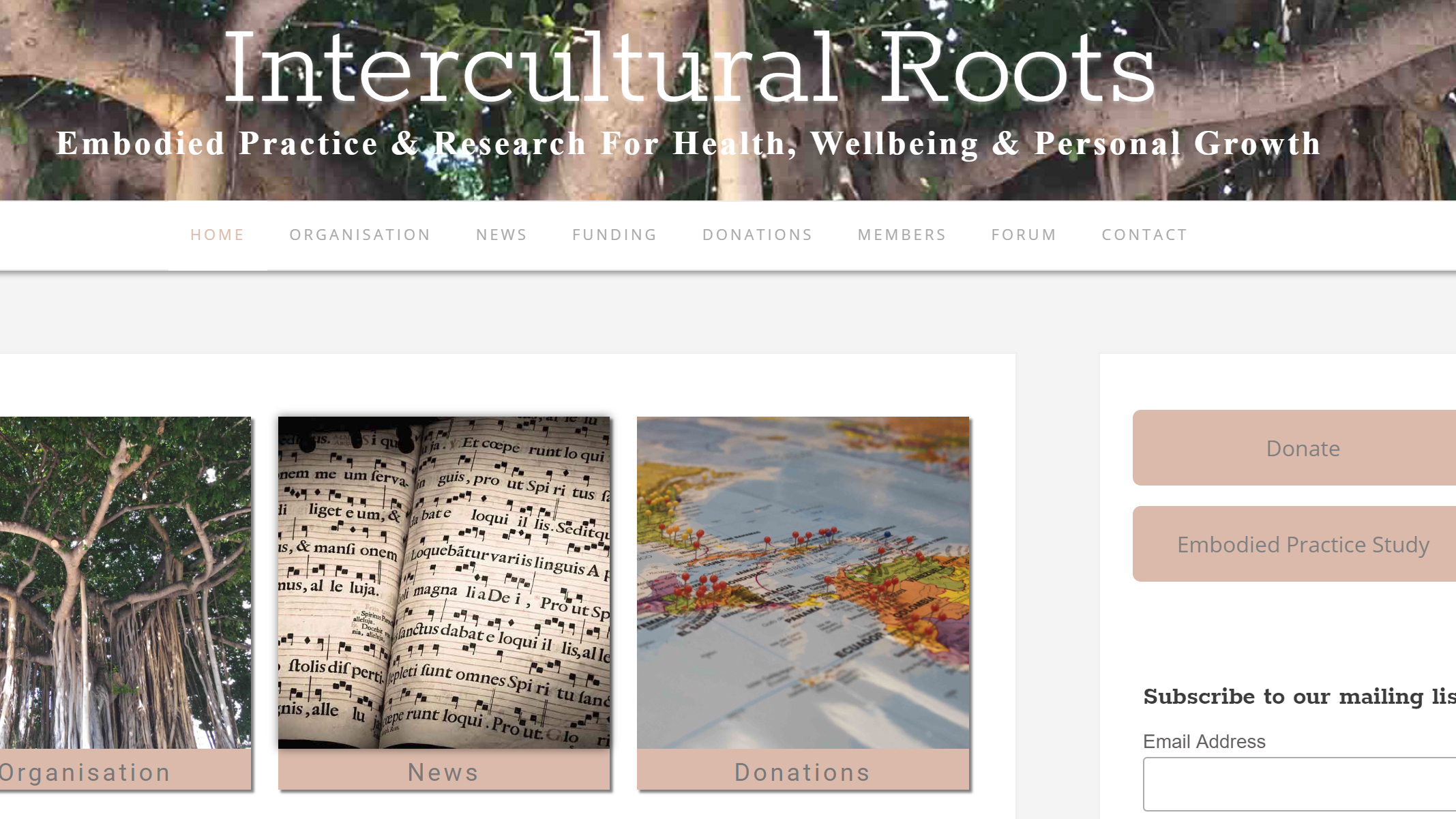 Website